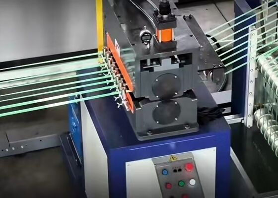 এনার্জি দক্ষ টেকসই পোষা প্রাণী স্ট্র্যাপ উত্পাদন লাইন উন্নত