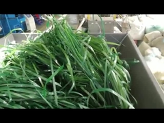 একক শ্যাফ্ট নরম উপাদান shredder